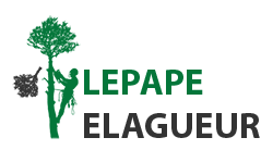 elagage-lepape-elagueur